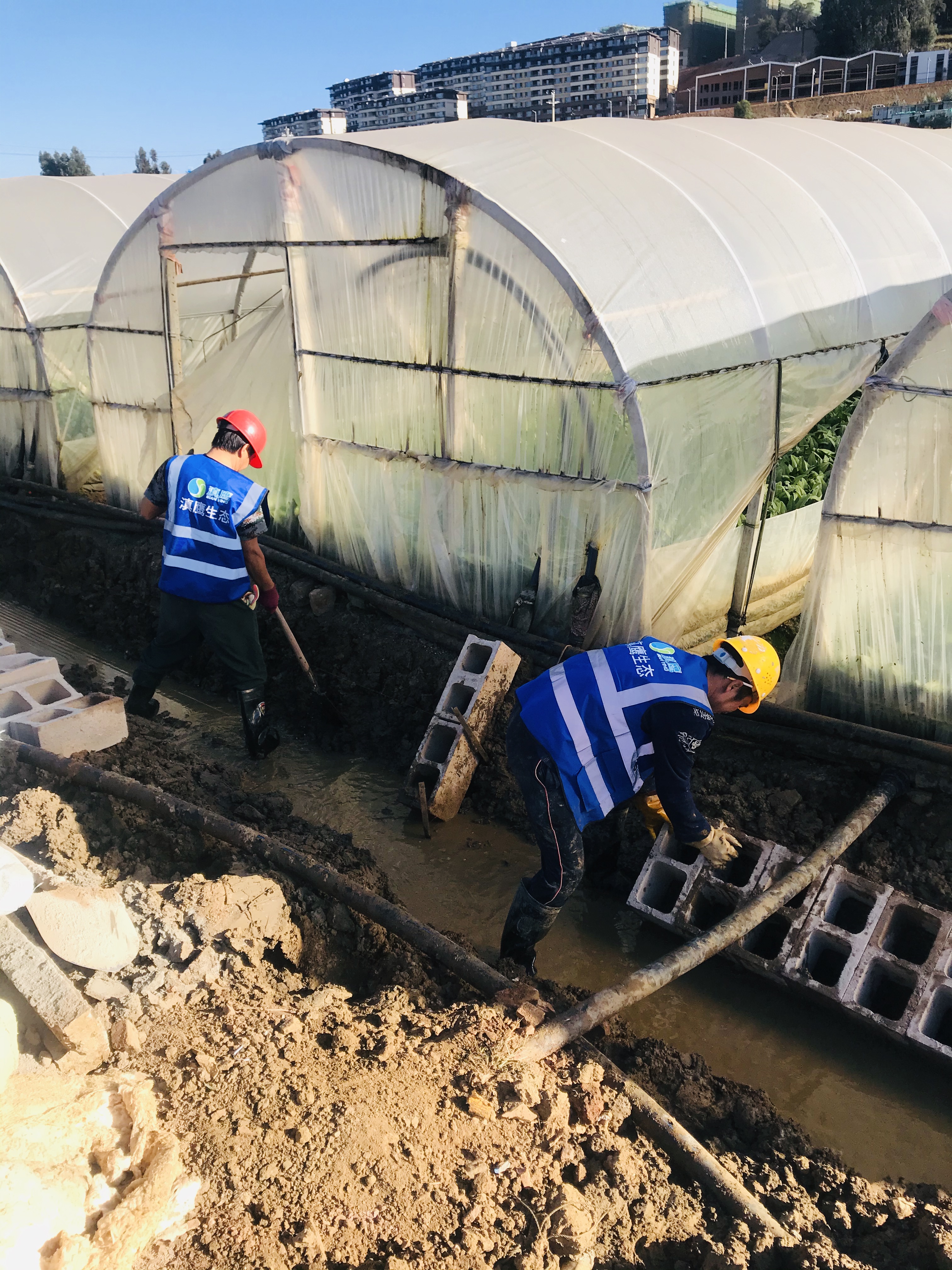 建設美麗云南，滇鷹正在行動(dòng)