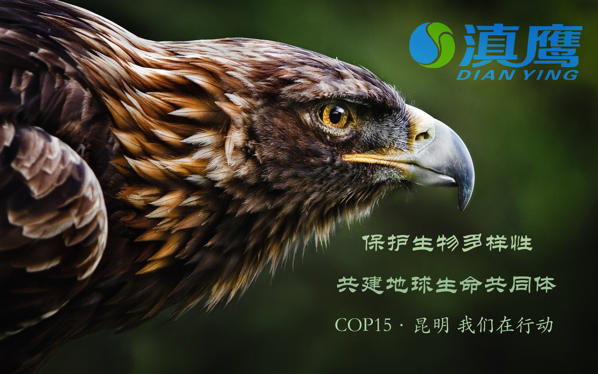 讓綠水青山永續，讓美麗持續綻放