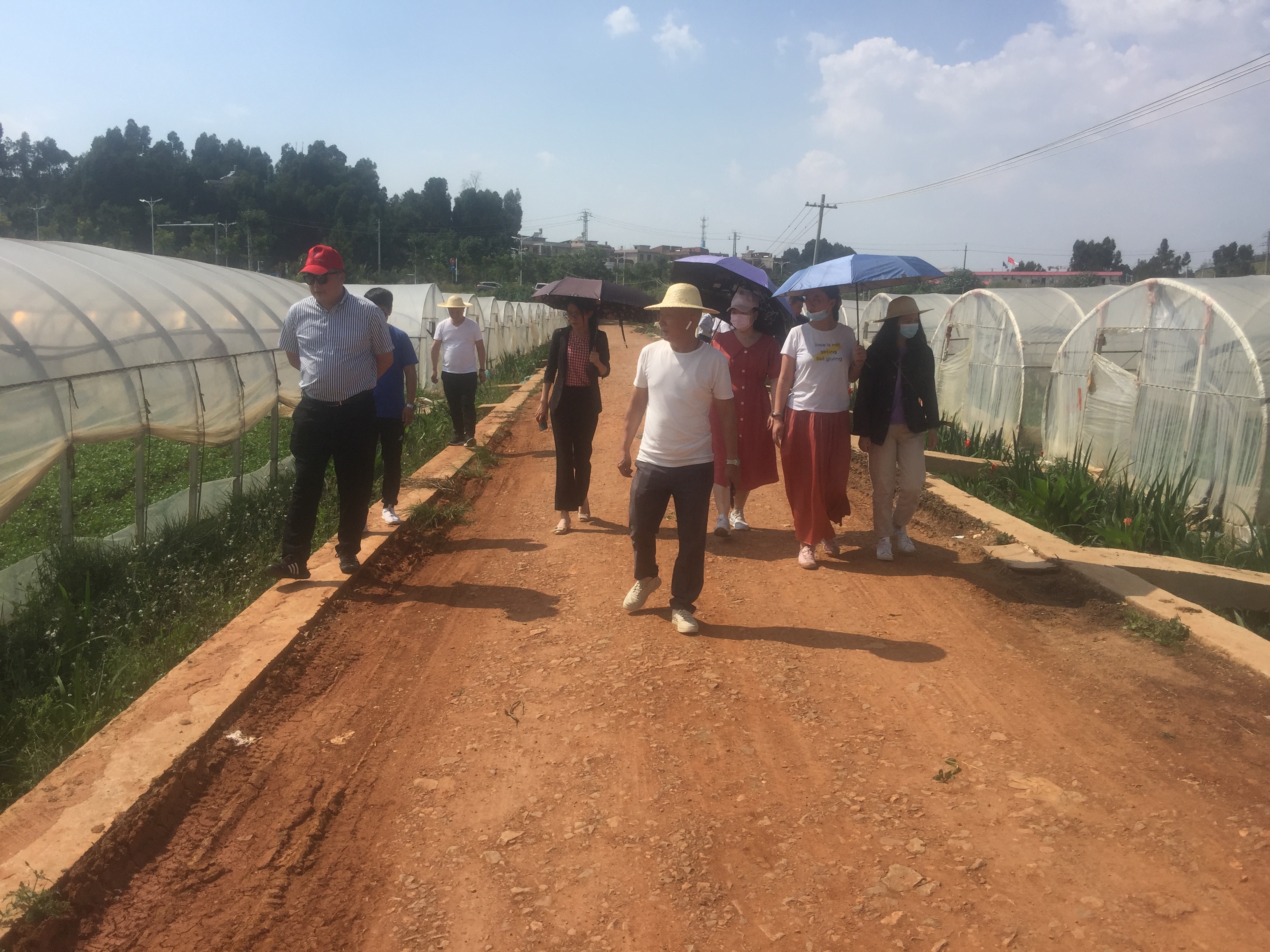 走進(jìn)云南藝術(shù)學(xué)院項目和大漁項目